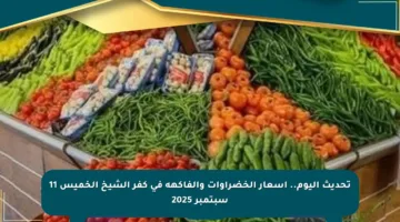 تحديث اليوم.. أسعار الخضراوات والفاكهة في كفر الشيخ الخميس 11 سبتمبر 2025